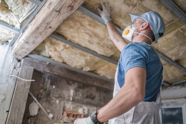 Best Energy-efficient Insulation  in Roslyn Heights, NY