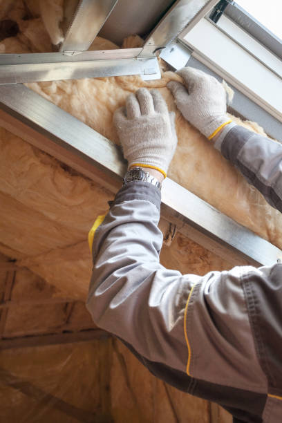 Best Insulation Repair Services  in Roslyn Heights, NY